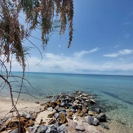 Grecia-penisola Calcidica 